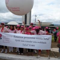 Voluntarias